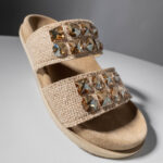 DILYS  Slides